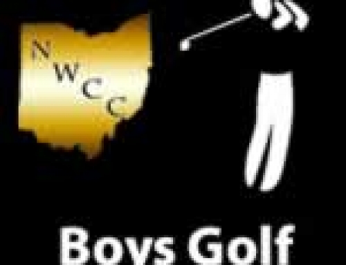 8/15 Boys Golf Scores